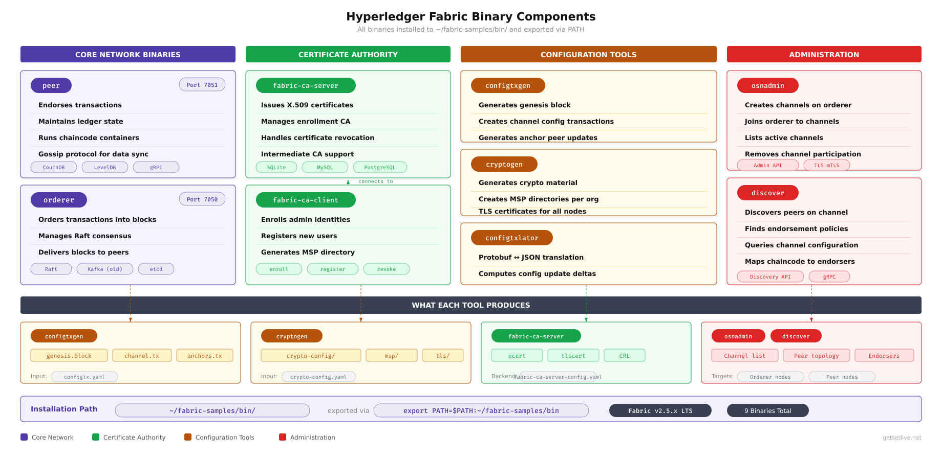 Fabric binaries map showing all nine CLI tools organized by function: network operation tools (peer, orderer), configuration generators (configtxgen, configtxlator, cryptogen), administration tools (osnadmin, fabric-ca-client), and diagnostic tools (discover, ledgerutil)