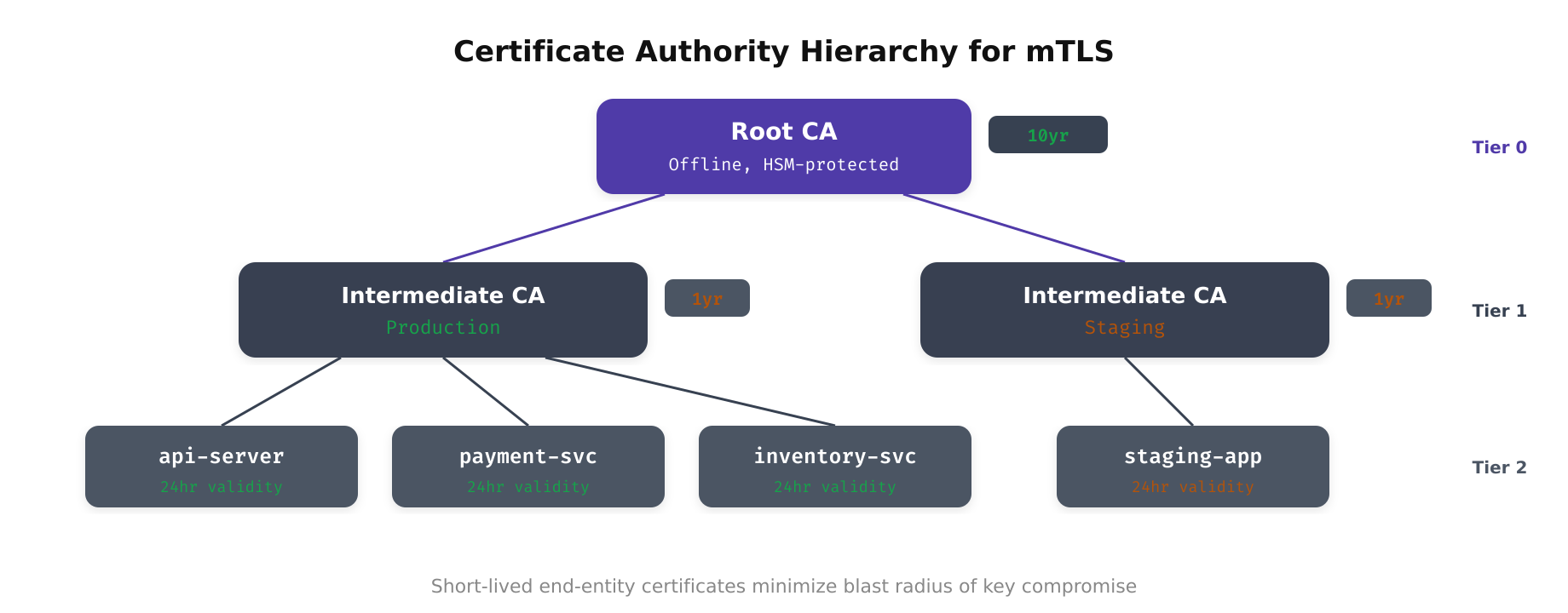 Certificate authority hierarchy diagram showing root CA, intermediate CA, and leaf certificates used in mTLS