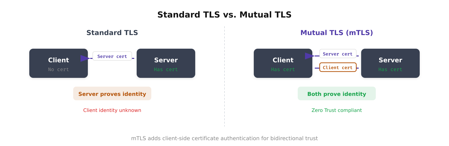 Side-by-side comparison of standard TLS one-way authentication versus mutual TLS two-way authentication
