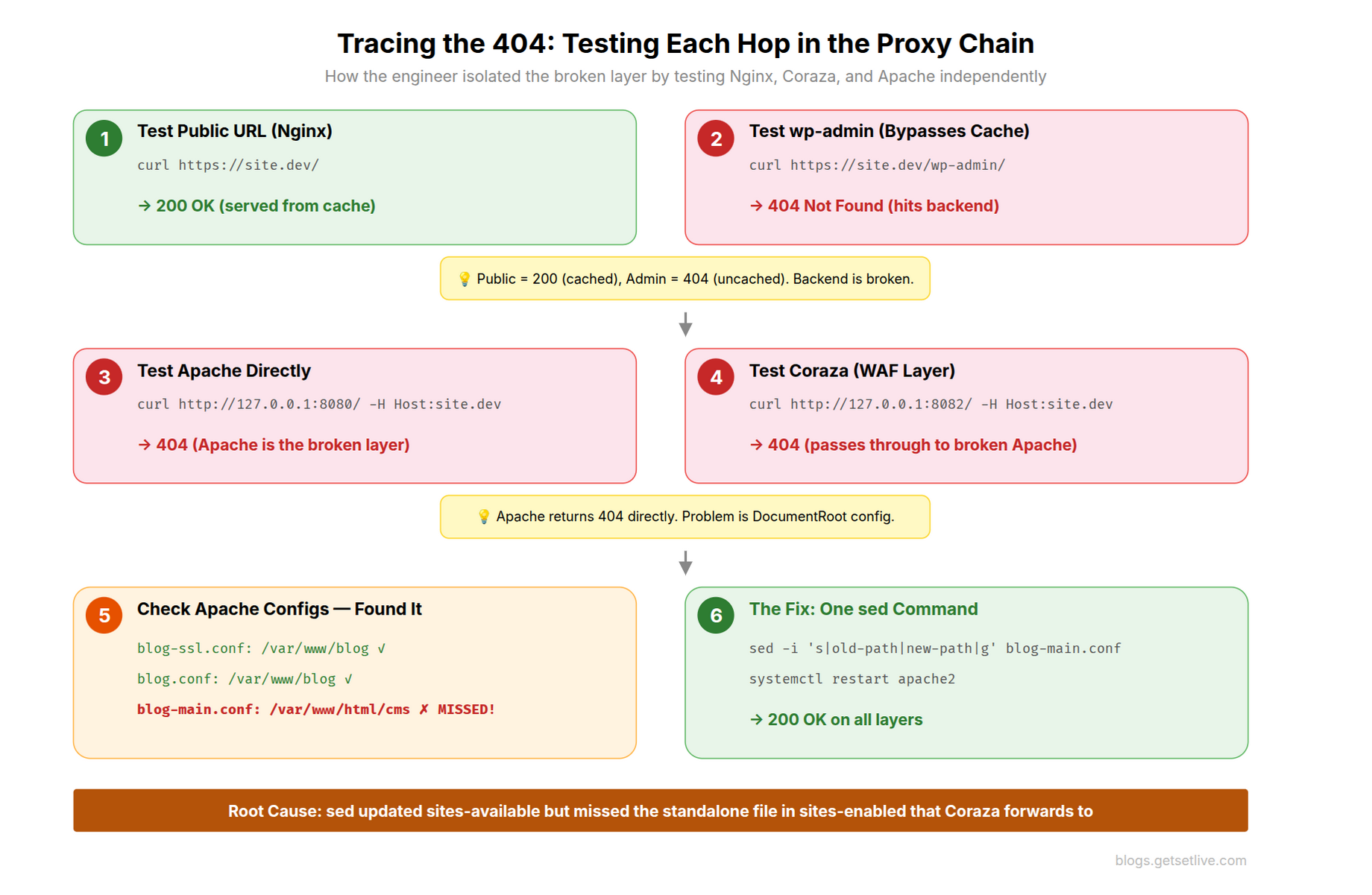 Six step investigation flowchart tracing the 404 error through Nginx cache, wp-admin bypass, Apache direct test, Coraza WAF test, finding the missed config, and the one sed command fix